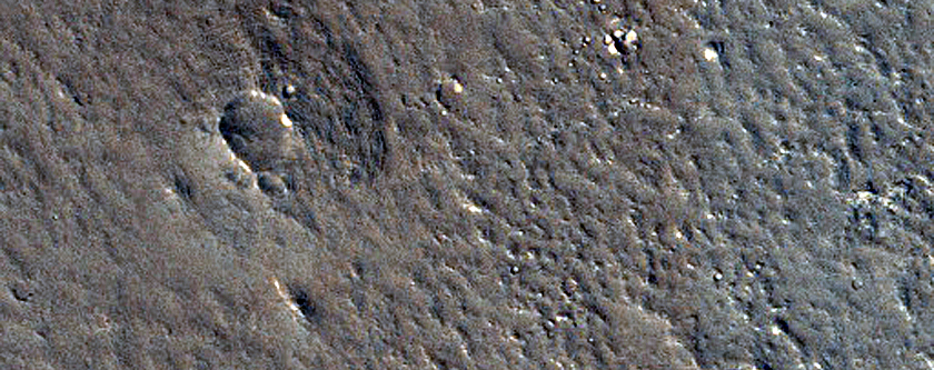 Fractures and Craters in Utopia Planitia