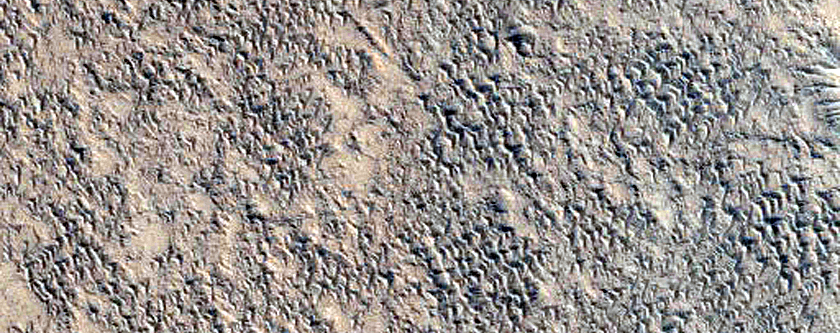 Crater Floor
