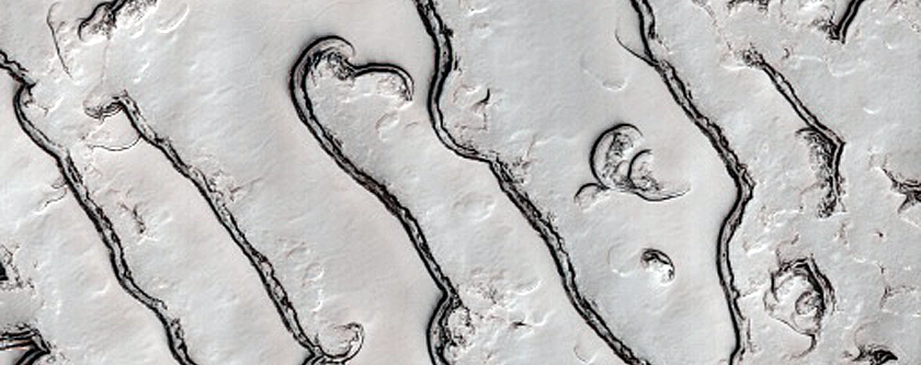 South Polar Residual Cap Mosaic Campaign