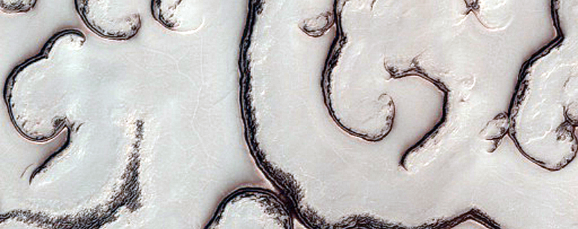 South Polar Residual Cap Mosaic Campaign