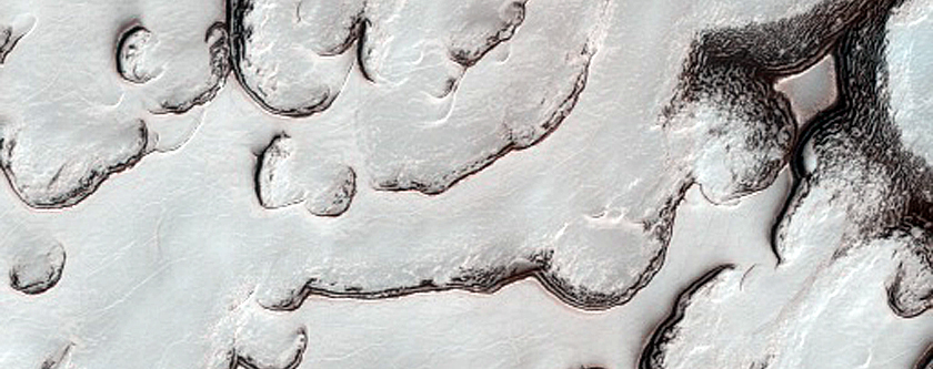 South Polar Residual Cap Mosaic Campaign