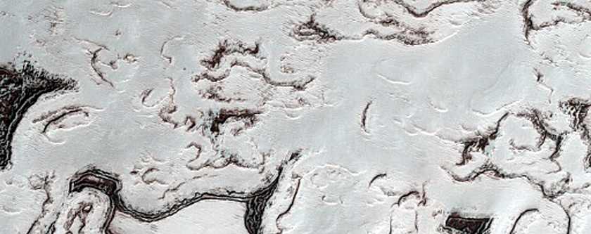 South Polar Mosaic Campaign