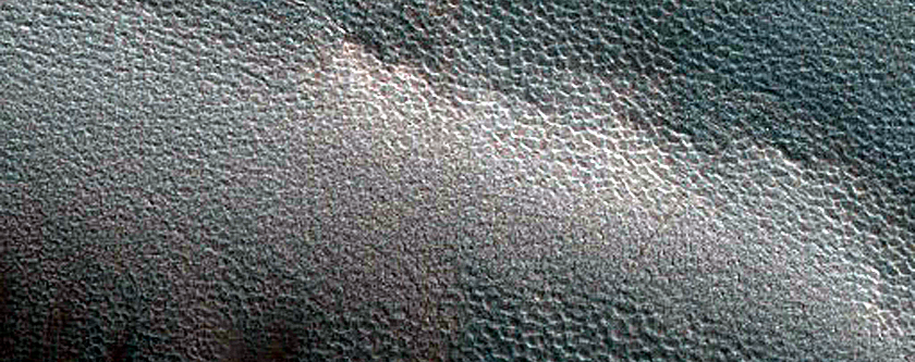 Dune Monitoring in Crater