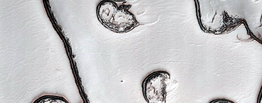 South Polar Residual Cap Mosaic Campaign