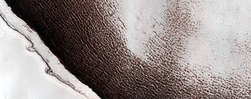 South Polar Residual Cap Mosaic Campaign