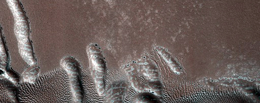 Dune Monitoring in Crater