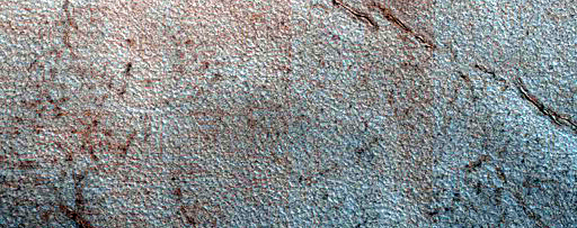 Dune Monitoring in Crater