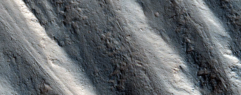 Gully Monitoring