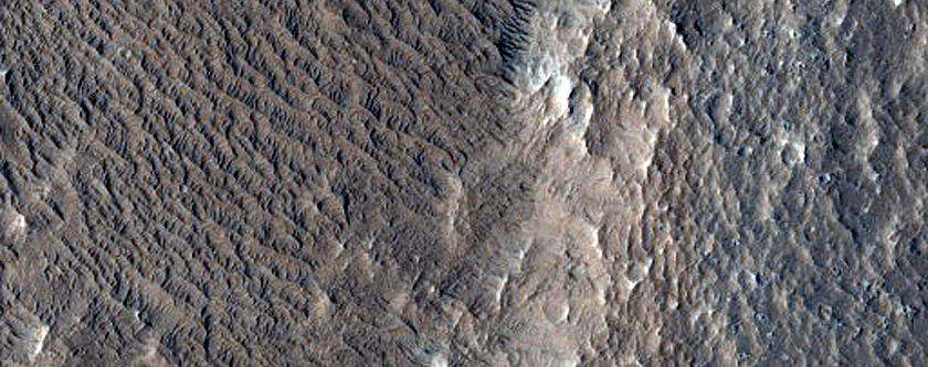 Elysium Planitia