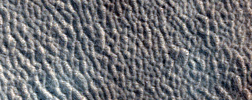 Terrain Sample