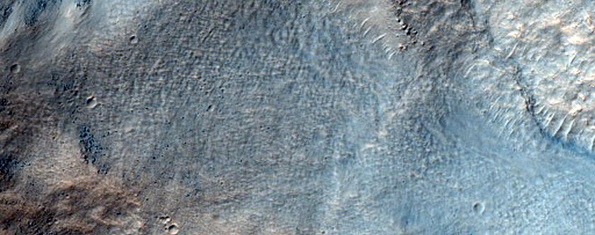 Gullies on South Wall of Crater in Southern Mid-Latitudes