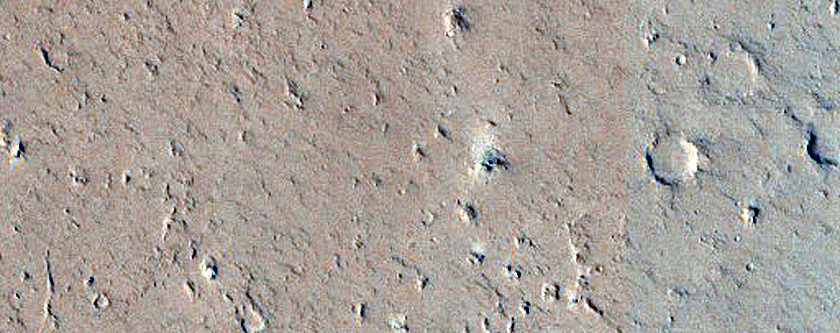 Amazonis Planitia