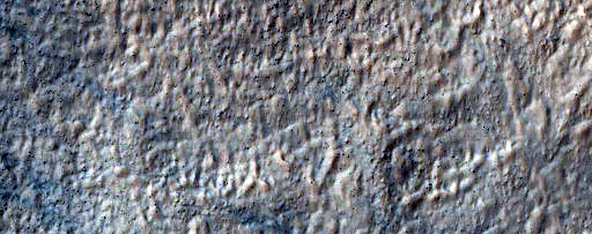 Gully Monitoring