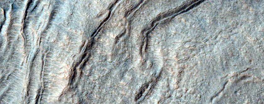 Layered Feature in Southern Mid-Latitude Crater