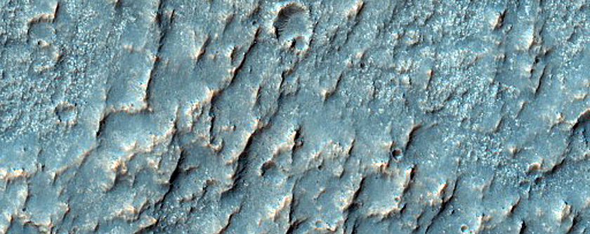 Terrain Sample