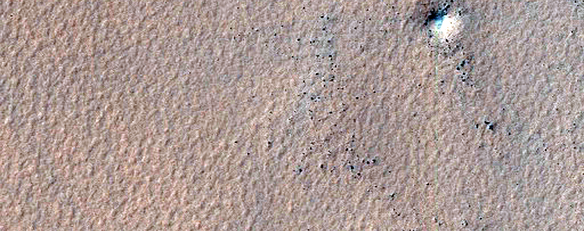 Dark Filamentary Streak Year-Round Monitor Site in Noachis Terra