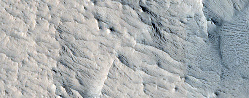Windblown Scour Features in Olympus Mons Aureole