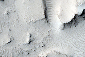 Floor-Fractured Crater in Elysium Planitia