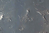 Utopia Planitia Sample
