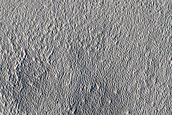 Northern Plains Sample