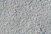 Platy-Ridged Lava Margin in Elysium Planitia