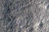 Gully Monitoring
