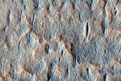 Scallop-Hosting Mantle in Utopia Planitia
