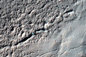 Gullied Crater with Icy Deposits
