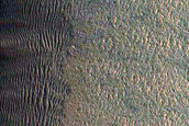 Western Abalos Scopuli Scarp and Dune Monitoring