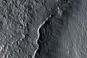 Viscous Flow Feature