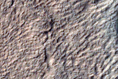 Monitor Frost in Corozal Crater