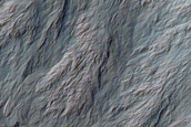 Gullies and Slope Features in Gasa Crater