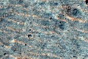 Periodic Bedrock Ridges near Oxia Planum