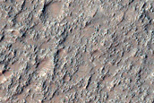 Possible Chloride-Rich Deposits