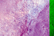 Layers around Mesa in Hydraotes Chaos
