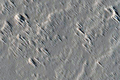 Candidate Recent Impact Site