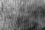 Lomonosov Crater Dune Monitoring