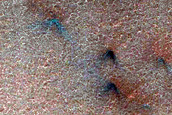 Spiders on South Polar Layered Deposits