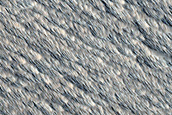 Terrain Between Olympus Mons and Daedalia Planum