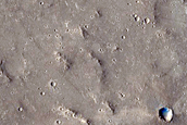 Elysium Planitia
