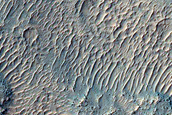 Gullies on Crater and Graben