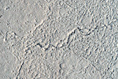 Craters and Lava in Elysium Planitia
