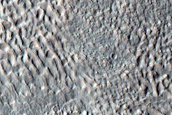 Gullies on Pole-Facing Slope of Ice-Filled Crater