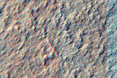 Barchanoid Dunes in Hellas Planitia