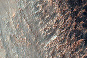Well-Exposed and Diverse Section of Nirgal Vallis