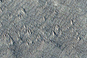 Monitoring New Impact Site