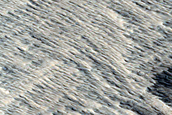 Candidate Recent Impact Site