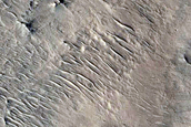 Central Structure in Impact Crater