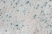 Seasonal Activity near Mellish Crater
