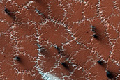 Bright and Dark Fans on Patterned Ground Dubbed Troy